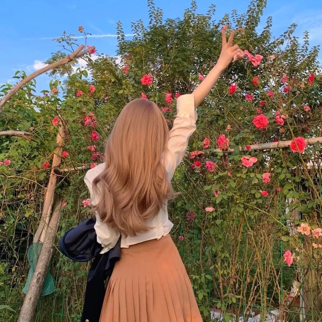 茶花彝女